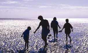 Morecambe Bay
